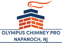 Olympus Chimney Pro